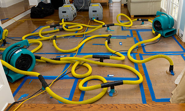 Professional Basement Flood Cleanup technician working in Brinnon, WA